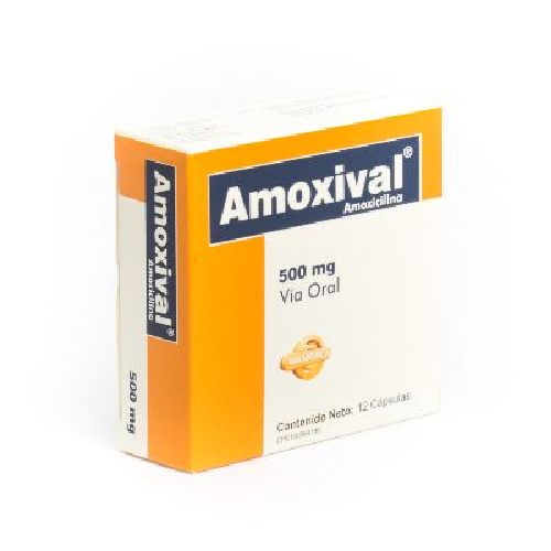 [7591020000710] AMOXIVAL (AMOXICILINA) 500MG X 12 CAPSULAS (VALMORCA)